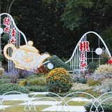 婀娜多姿  争奇斗艳  2021共青菊花展