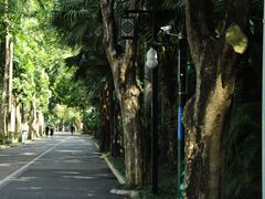 -南宁南湖公园