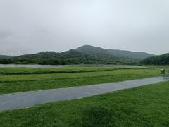 -风云岭森林公园