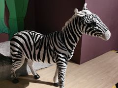 -正佳自然科学博物馆