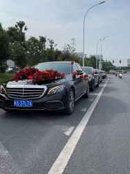 -蚂蚁婚车