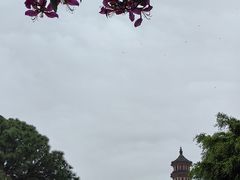 -广州莲花山旅游区