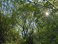 -树山生态村