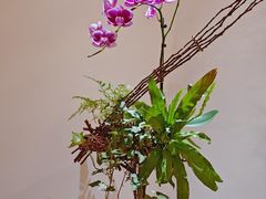 -翁暖茶馆(滨江东总店)