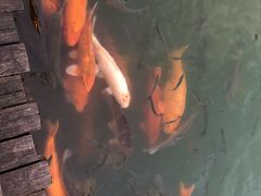 -汉仪华裳汉服旗袍·摄影写真馆(乌镇西栅店)