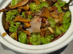 -滇铺子·云南特色菜·第九届野生菌美食节(曲靖万达店)