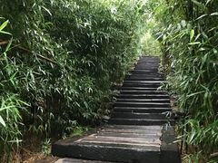 -西部长青自然儿童乐园