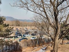 -北京西山国家森林公园