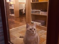-隅cafe(傅厚岗店)