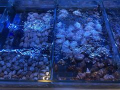 -金苑海鲜酒家(来魅力店)