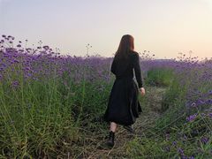 -光明小镇欢乐田园