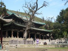 -晋祠公园