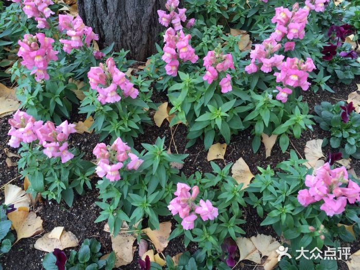 大阪市立自然史博物馆图片