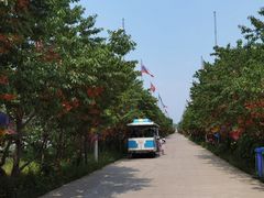 -第五季龙水凤港生态露营农场