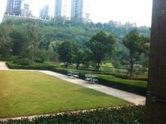 -济南喜来登酒店-采悦轩中餐厅