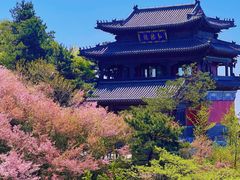 -泰山风景名胜区