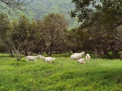 -宝岩生态观光园