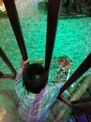 点击看大图 -酷嗒动物文化乐园(cutezoo西溪乐天城店)