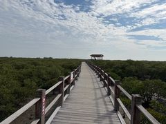 -北海金海湾红树林生态旅游区