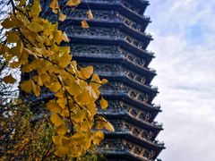 -玲珑塔公园