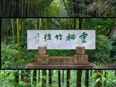 -云栖竹径