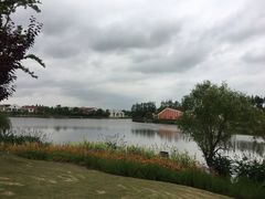 -上海长兴岛郊野公园