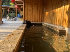 -山湖温泉