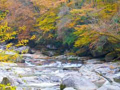 -光雾山旅游景区