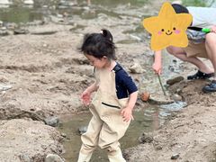 -绿堤公园
