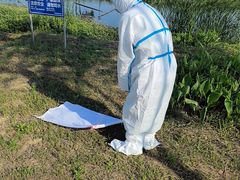 -合肥滨湖国家森林公园