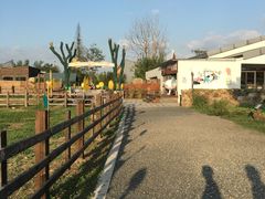 -田园东方蜜桃村的田野营地