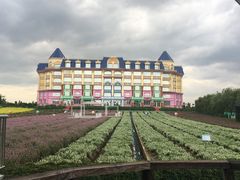 -广州花之恋城堡酒店