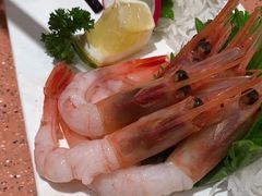 -元气寿司(金光华店)