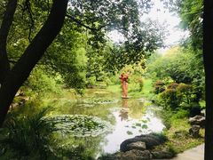 -东湖落雁景区