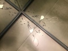 -ZARA(沈阳大悦城店)