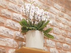 -第六季自助餐厅(甜水园店)