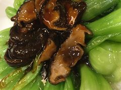 青菜-抚顺美食·老上海味道