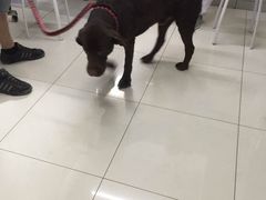 -中农大我爱我爱24h动物医院·中医针灸·猫专科·骨科医疗中心(双井店)