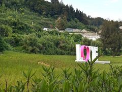 -南麂列岛