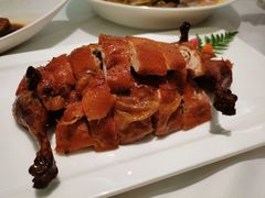 -圆苑(静安寺店)