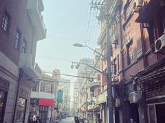 -九斤黄三黄鸡专卖店