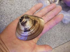 -青岛海泉湾度假区温泉