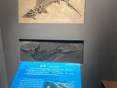 -辽宁古生物博物馆