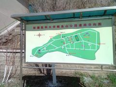 -鲤鱼山公园