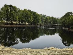 -长白岛森林公园