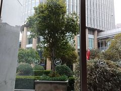 -喜来登由由大酒店九州膳坊中餐厅