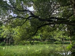 -杭州花家山庄