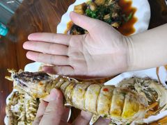 皮皮虾-板桥海鲜广场(文明东店)