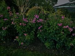 -杭州城北体育公园