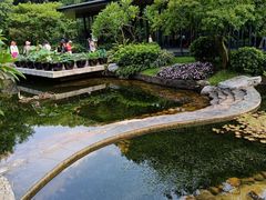 -云溪植物园